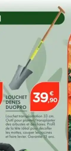 Point Vert Louchet dents duopro offre