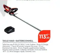 Point Vert EINHELL Taille-haie + batterie offre