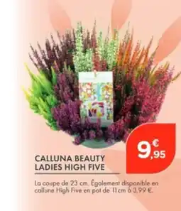 Point Vert Calluna beauty ladies high five offre