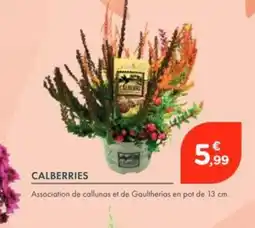 Point Vert Calberries offre