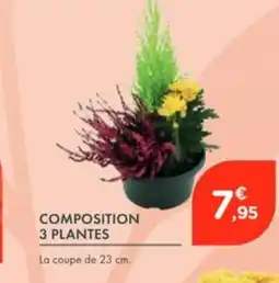 Point Vert Composition 3 plantes offre