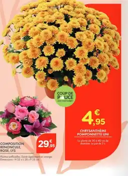 Point Vert Chrysanthème pomponnette uni offre