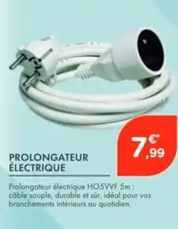 Point Vert Prolongateur électrique offre