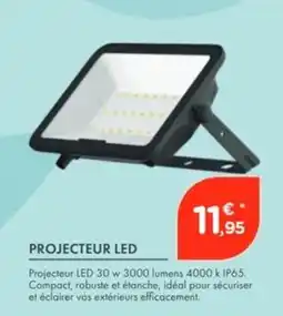 Point Vert Projecteur led offre