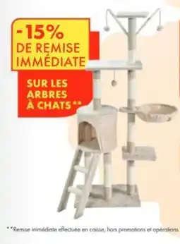 Point Vert Sur les arbres à chats offre