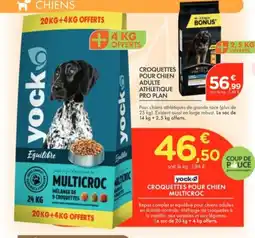Point Vert YOCK Croquettes pour chien multicroc offre