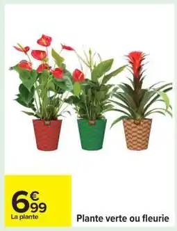 Carrefour Plante verte ou fleurie offre