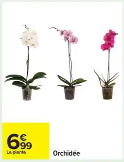 Carrefour Orchidée offre