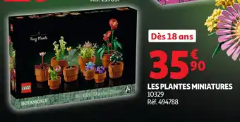 Auchan Les plantes miniatures offre