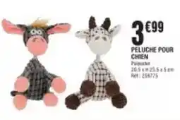 La Foir'Fouille Peluche pour chien offre