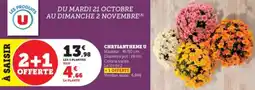 Super U Chrysantheme u offre