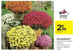 Carrefour Market Chrysanthème offre