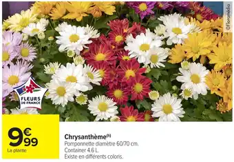 Carrefour Market Chrysanthème offre