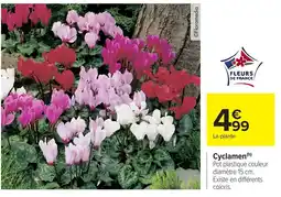Carrefour Market Cyclamen offre