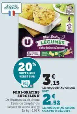 Super U Mini-gratins surgeles u offre
