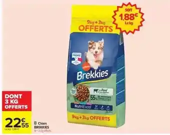 Carrefour Brekkies - chien offre