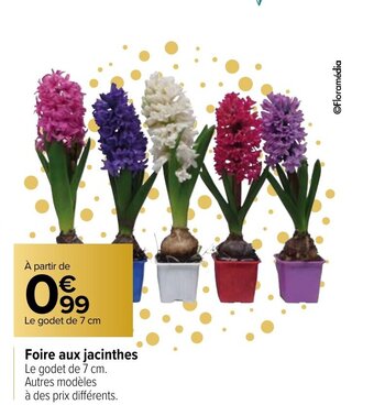 Carrefour Foire Aux Jacinthes offre