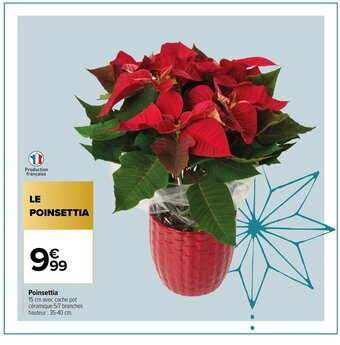 Carrefour Poinsettia offre