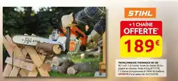 Rural Master Stihl - tronçonneuse tignique 46 g offre