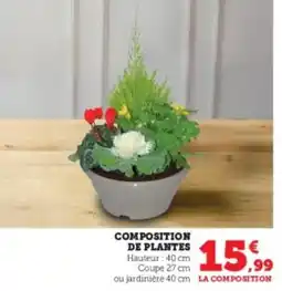 Super U Composition de plantes offre