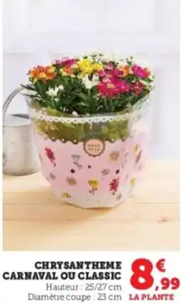 Super U Chrysantheme carnaval ou classic offre