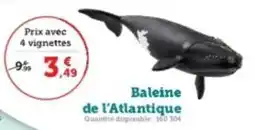 Super U Baleine de l'atlantique offre