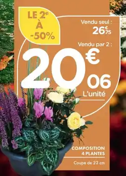 Point Vert Composition 4 plantes offre