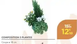 Point Vert Composition 3 plantes offre