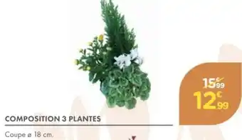 Composition 3 plantes