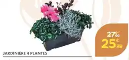 Point Vert Jardinière 4 plantes offre