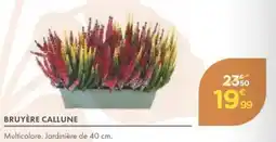Point Vert Bruyère callune offre