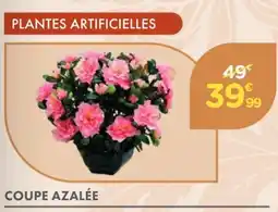 Point Vert Coupe azalée offre