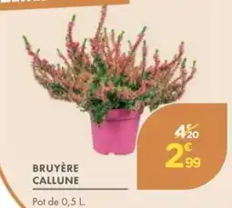 Point Vert Bruyère callune offre