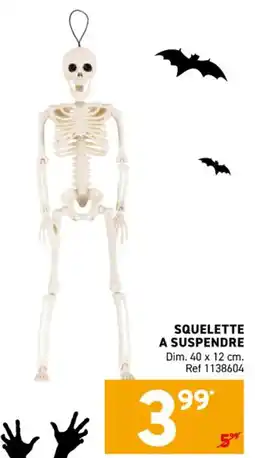 Trafic Squelette a suspendre offre