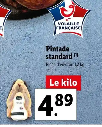 Pintade Standard