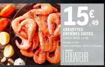 Crevettes Entières Cuites