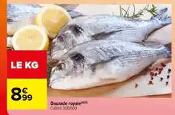 Carrefour Daurade royale offre