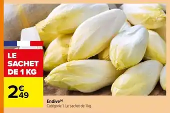 ENDIVE
