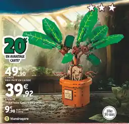 Intermarché LEGO / HARRY POTTER Mandragore offre