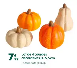 Truffaut Lot de 4 courges décoratives H. 6,5 cm offre