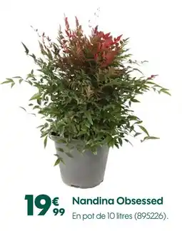 Truffaut Nandina obsessed offre