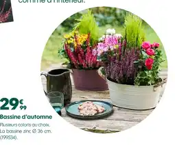 Truffaut Bassine d'automne offre