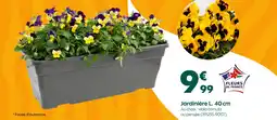 Truffaut Jardinière L. 40 cm offre