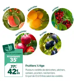 Truffaut Fruitiers ½ tige offre