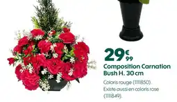 Truffaut Composition Carnation Bush H. 30 cm offre