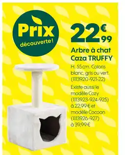 Truffaut Arbre à chat caza truffy offre