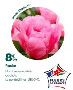 Truffaut Rosier offre