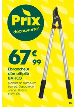 Truffaut BAHCO Ebrancheur démultiplié offre