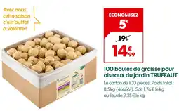 Truffaut TRUFFAUT 100 boules de graisse pour oiseaux du jardin offre