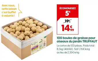TRUFFAUT 100 boules de graisse pour oiseaux du jardin